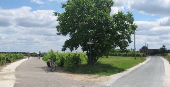 Biking through a vineyard in the Loire Valley